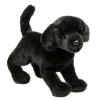 Chester the Plush Black Lab Puppy by Douglas
