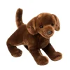 Cocoa the Plush Chocolate Lab Puppy by Douglas