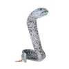 Coilkins Posable Stuffed Peppered Moray Eel by Wild Republic