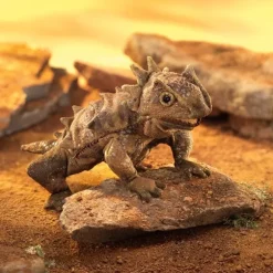 Full Body Horned Lizard Puppet by Folkmanis Puppets