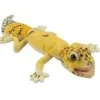 Handcrafted 10 Inch Lifelike Carrot-tailed Leopard Gecko Stuffed Animal by Hansa