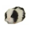 Handcrafted 8 Inch Lifelike Black Guinea Pig Stuffed Animal by Hansa