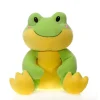 Huggy Huggables Plush Frog by Fiesta