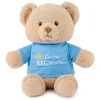 I'm the Big Brother Teddy Bear with Blue Shirt by Gund