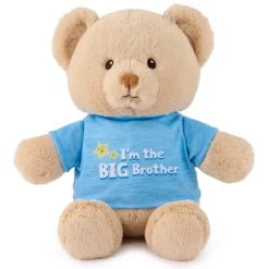 I'm the Big Brother Teddy Bear with Blue Shirt by Gund