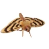 Lifelike Moth Stuffed Animal by Hansa