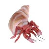 Living Earth Plush Hermit Crab by Wild Republic