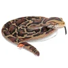 Living Earth Realistic 60 Inch Stuffed Burmese Python Snake by Wild Republic