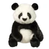 Paya the Sitting Plush Panda Bear by Douglas
