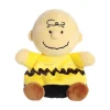 Peanuts Plush Charlie Brown Palm Pals by Aurora